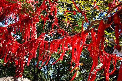 3D实景剧本杀？推理解谜游戏 《超空间》正式发售