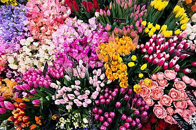 《战地2042》粉丝抱怨：AI分配不合理且表现不稳定